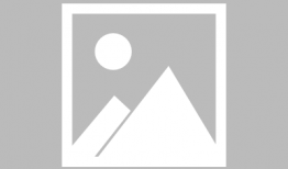 大象视频,探索动物世界的奇妙瞬间